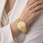 Canterbury Gold Box UK